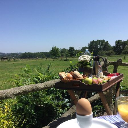 B&B Belvedere Brakel Esterno foto